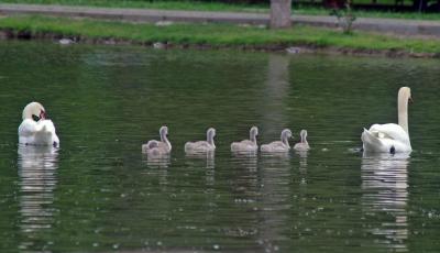 Прикрепленное изображение: 805.jpg